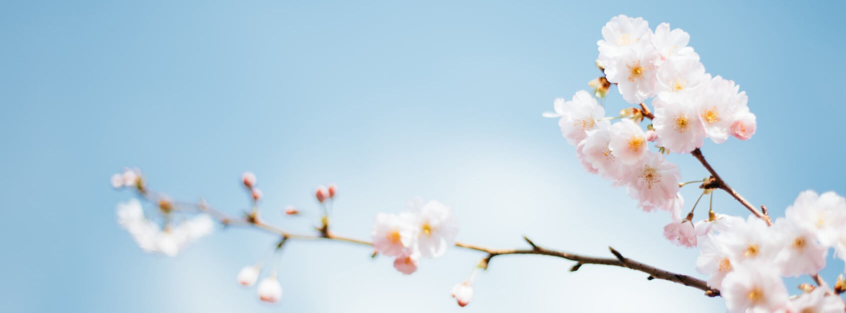 冯涛勇